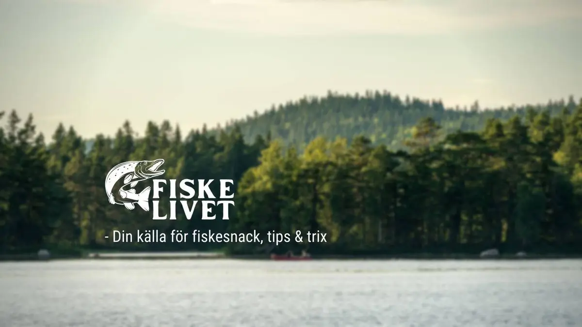 En lugn svensk sjö omgiven av skog, med en liten båt på vattnet