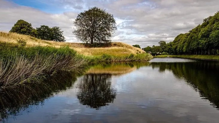 Vattenfylld vallgrav med gräs och träd i Skåne